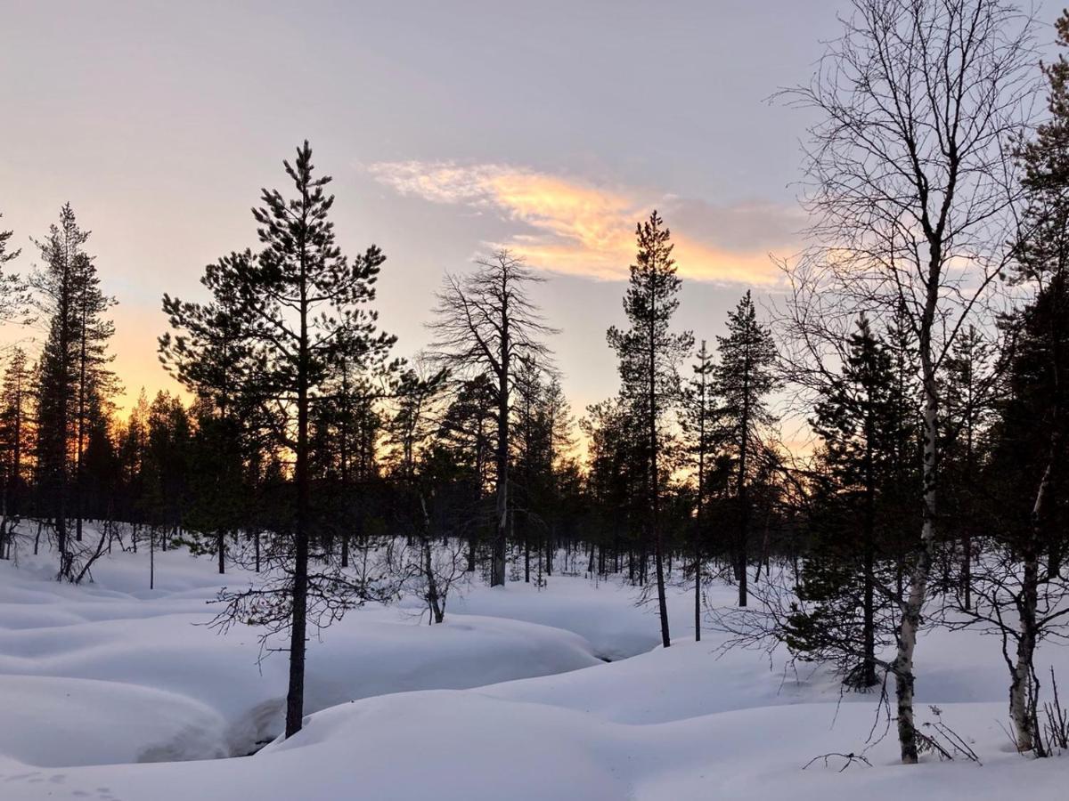 Kuukkeli Log Houses Aurora Cabin - Jaspis Saariselkä Eksteriør billede